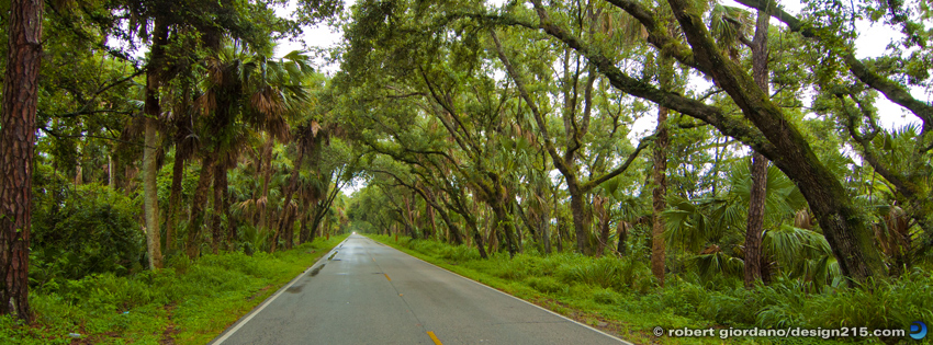 Swamp Road - Facebook Cover Photos