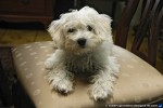 Photos