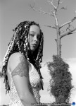 Photos